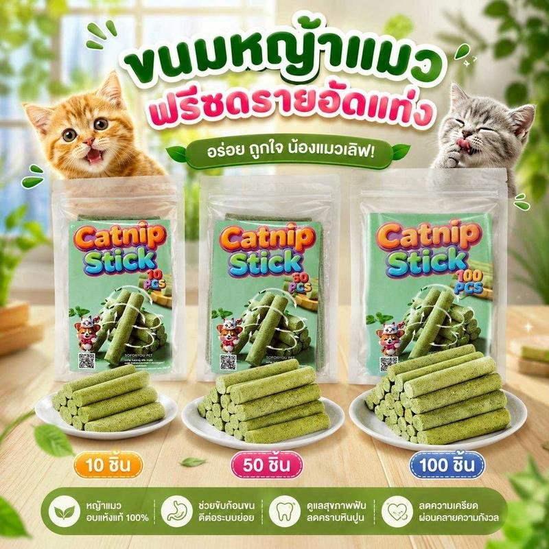 Boqi Factory ขนมหญ้าแมว ผลิตจากต้นอ่อนข้าวสาลี ช่วยขัดฟัน 1 ถุง บรรจุ 10 ชิ้น Catnip Sticks 10pcs